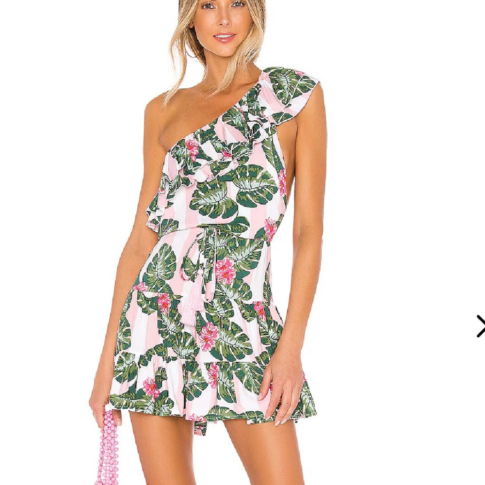 Lovers + Friends Amity Palm Floral Print Mini Dress S